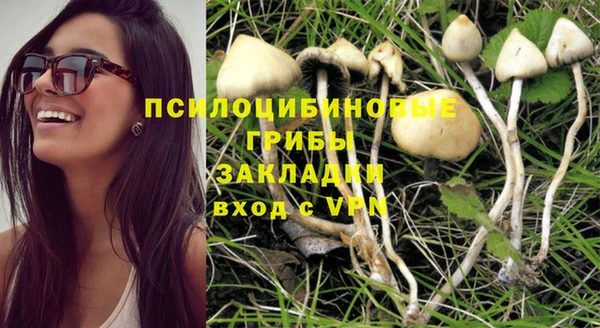MDMA Premium VHQ Козельск