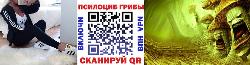Галлюциногенные грибы Psilocybine cubensis Котовск