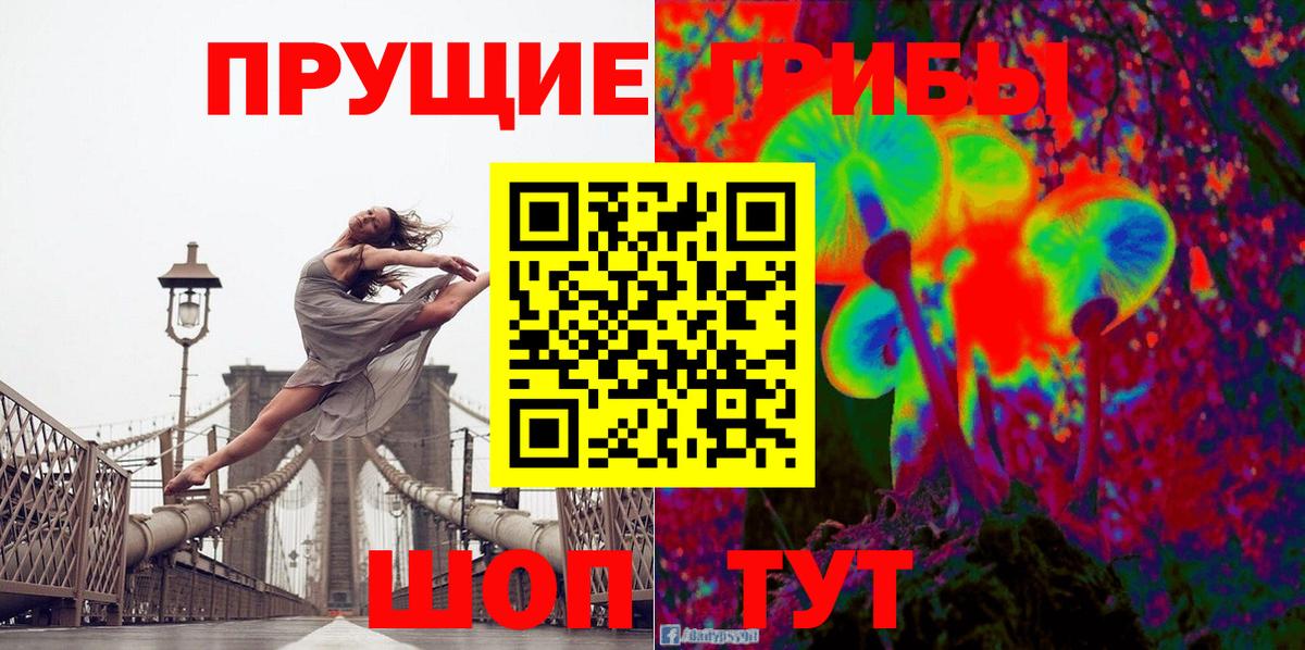 Котовск  Псилоцибиновые грибы прущие грибы  Вход с VPN  Галлюциногенные грибы MAGIC MUSHROOMS 