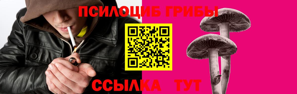 Галлюциногенные грибы Cubensis Котовск