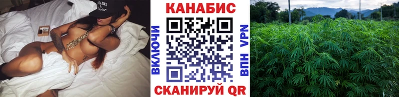 Шишки марихуана Amnesia Котовск